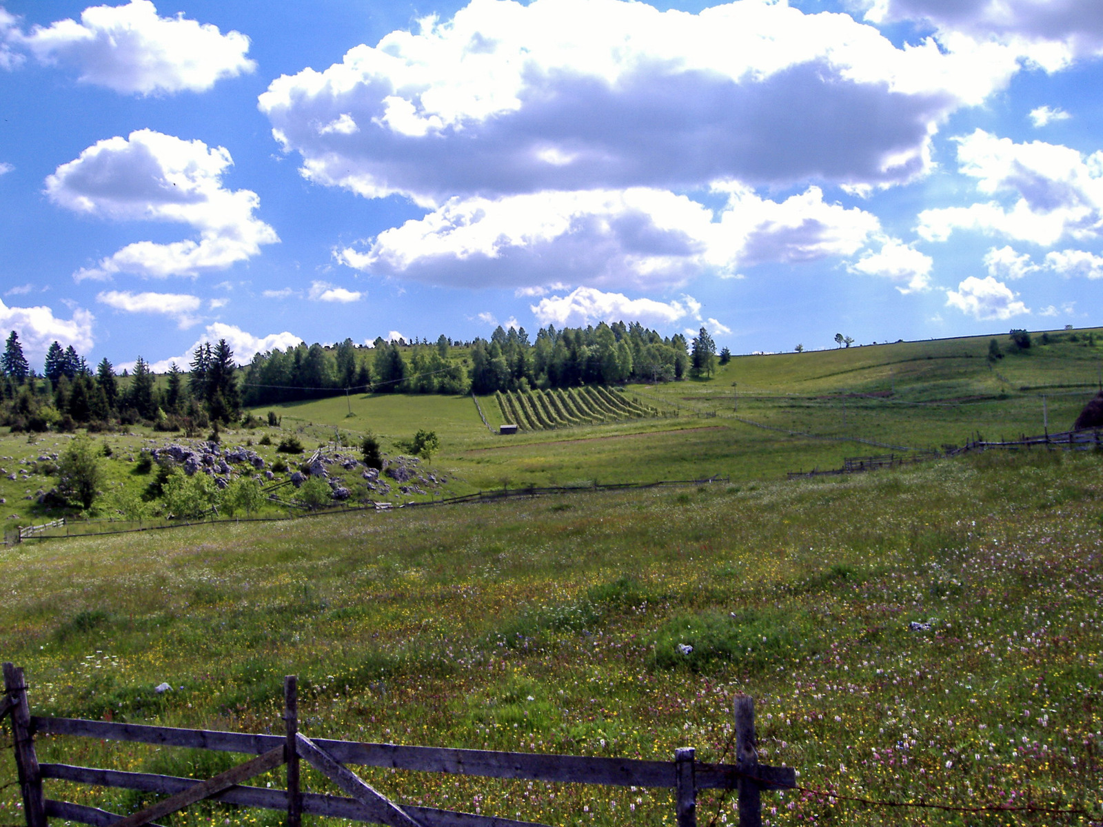Planinarenje-okolina Priboja