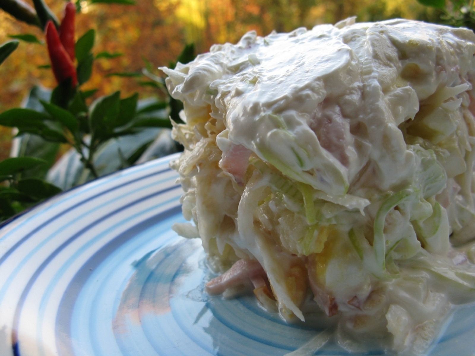 Salata od celera i ostalog :)