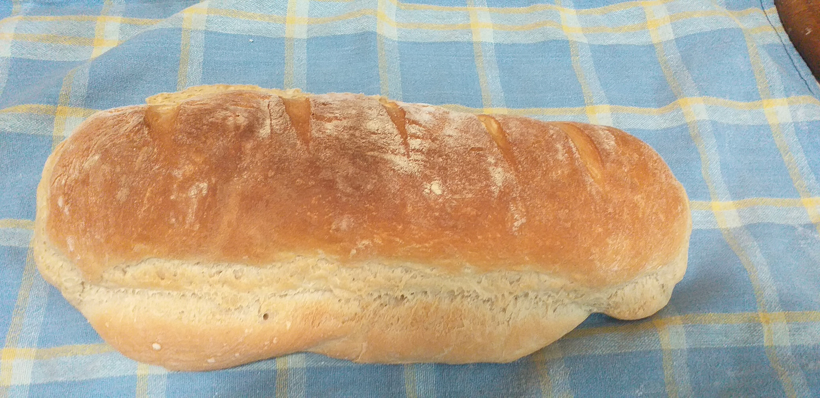 Domaći hleb