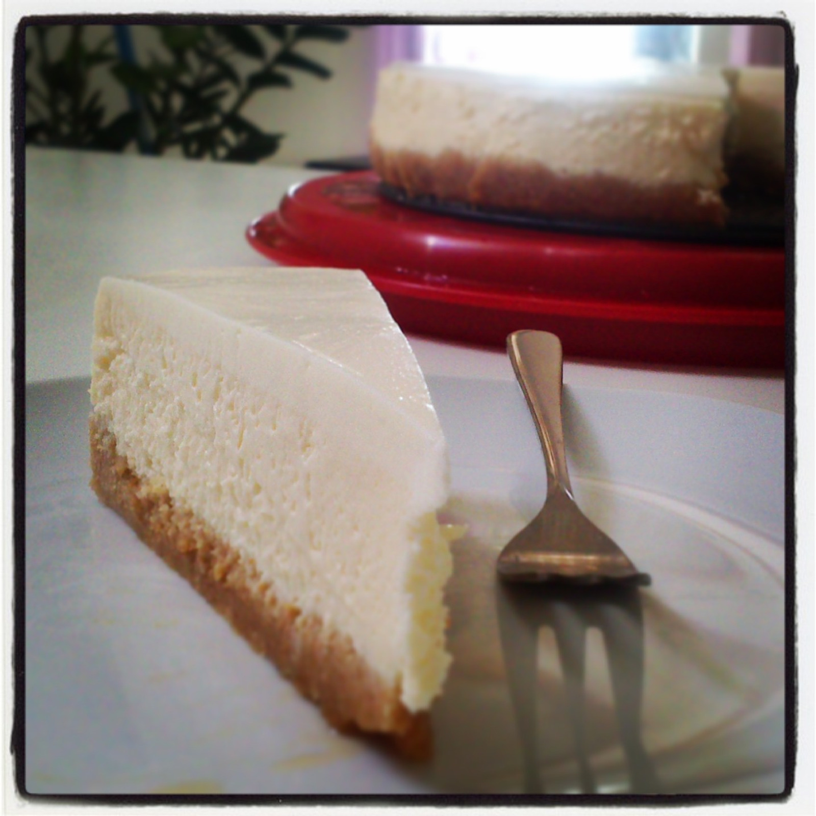 The Perfect Cheesecake by mmmary