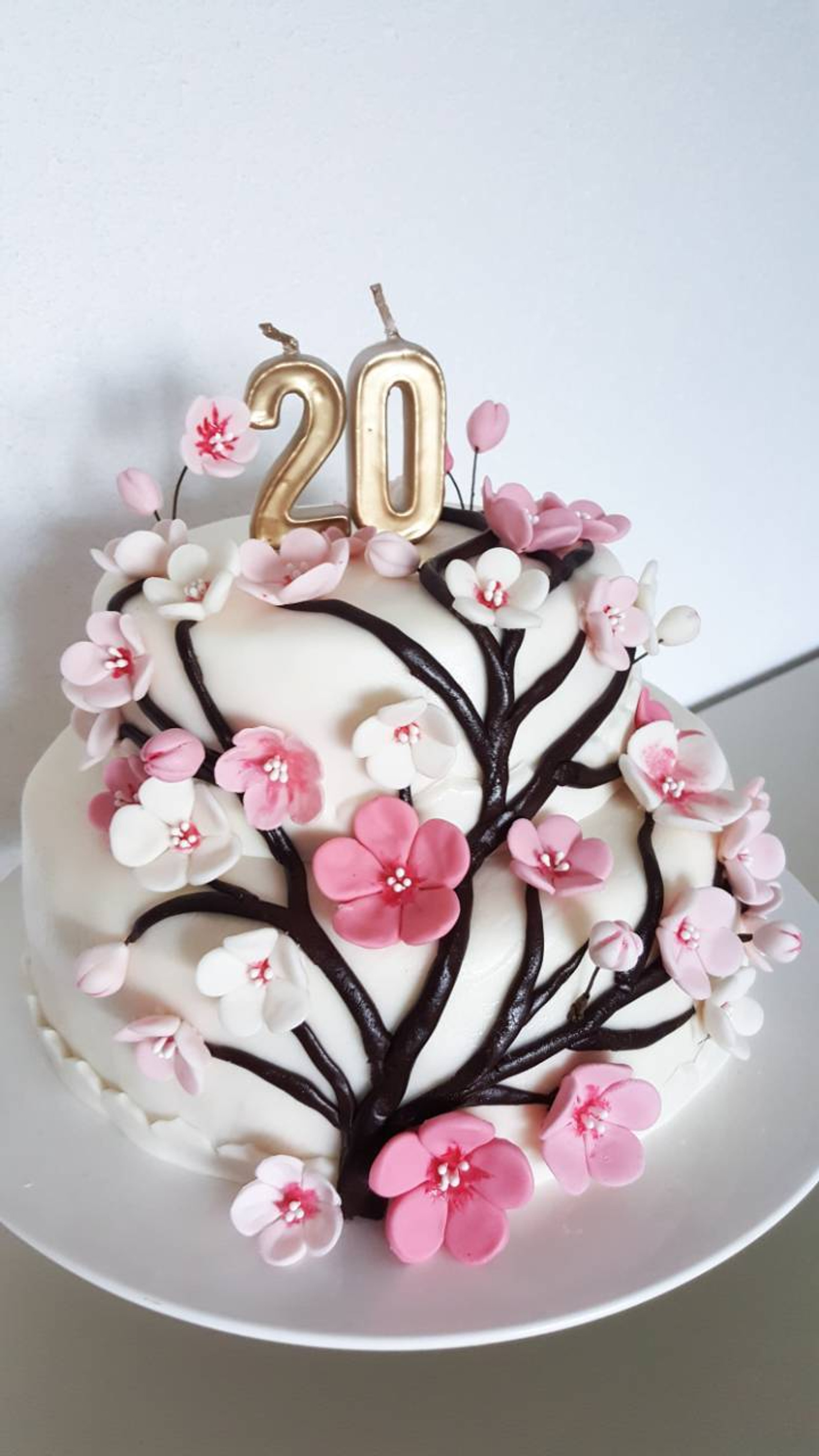 Plazma torta ukrašena cvijetom japanske trešnje
