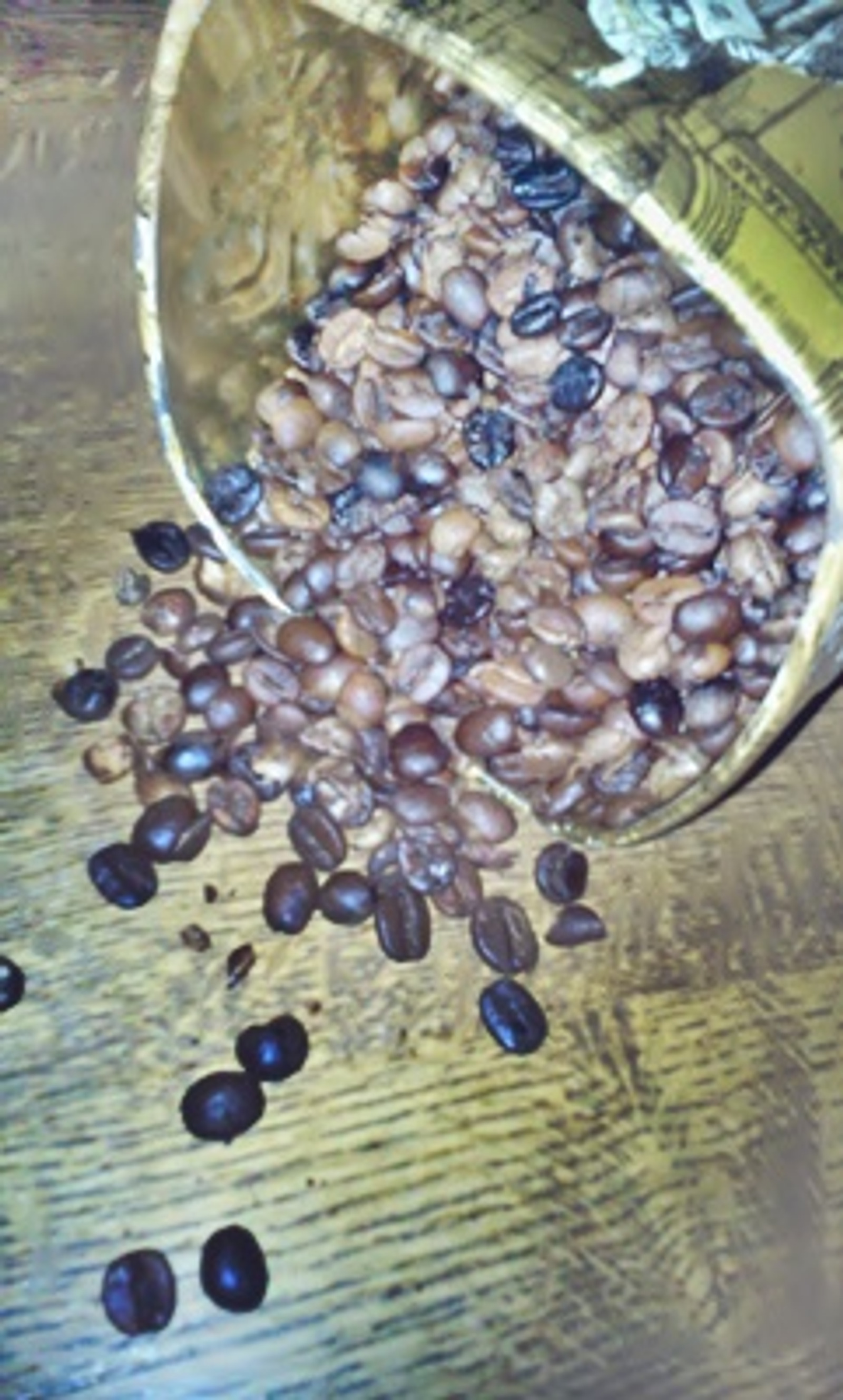 Kafa