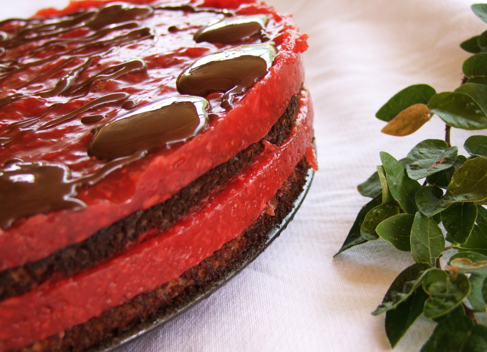 Sasvim Obicna torta
