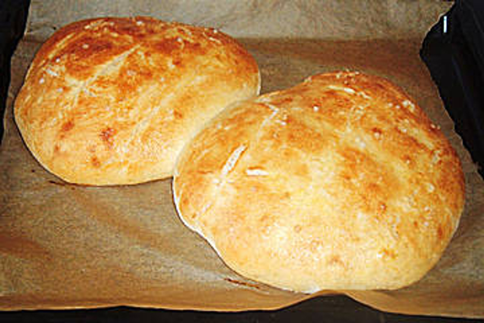 Najbolji Turski kruh
