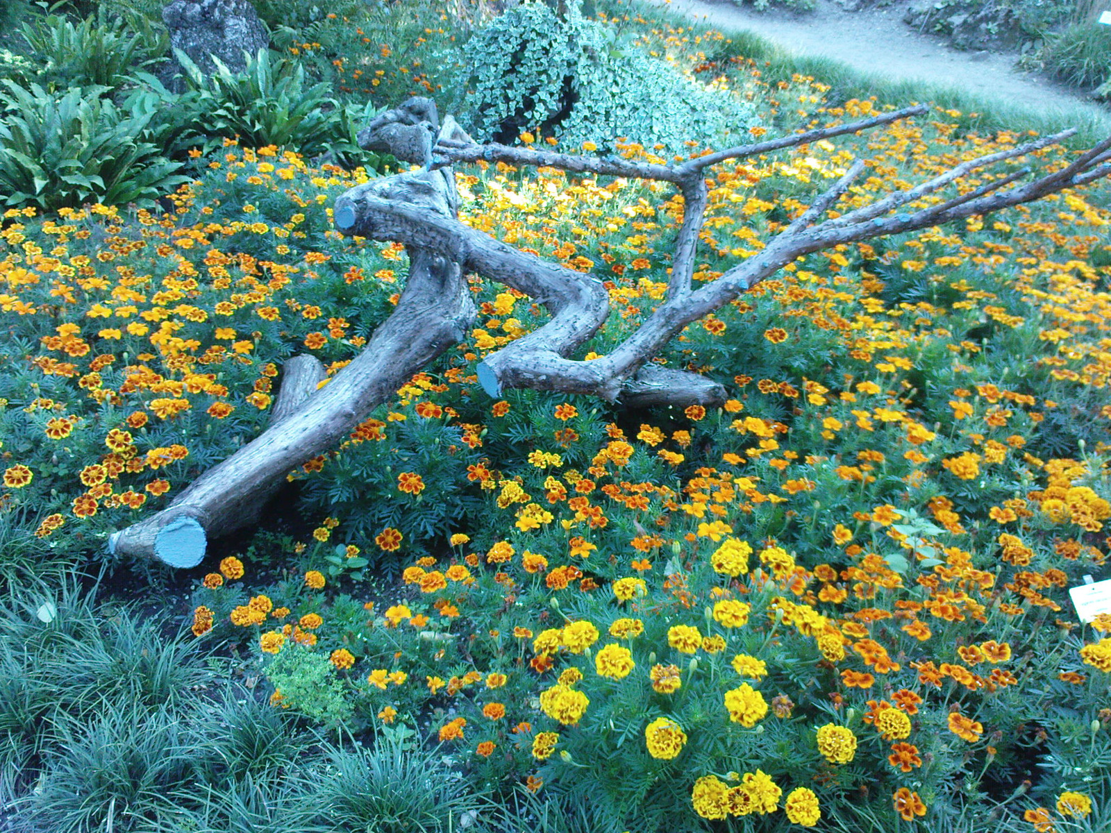 Image 676379 (auto)