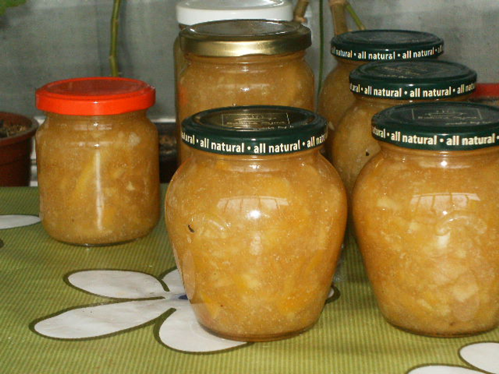 Marmelada od limuna