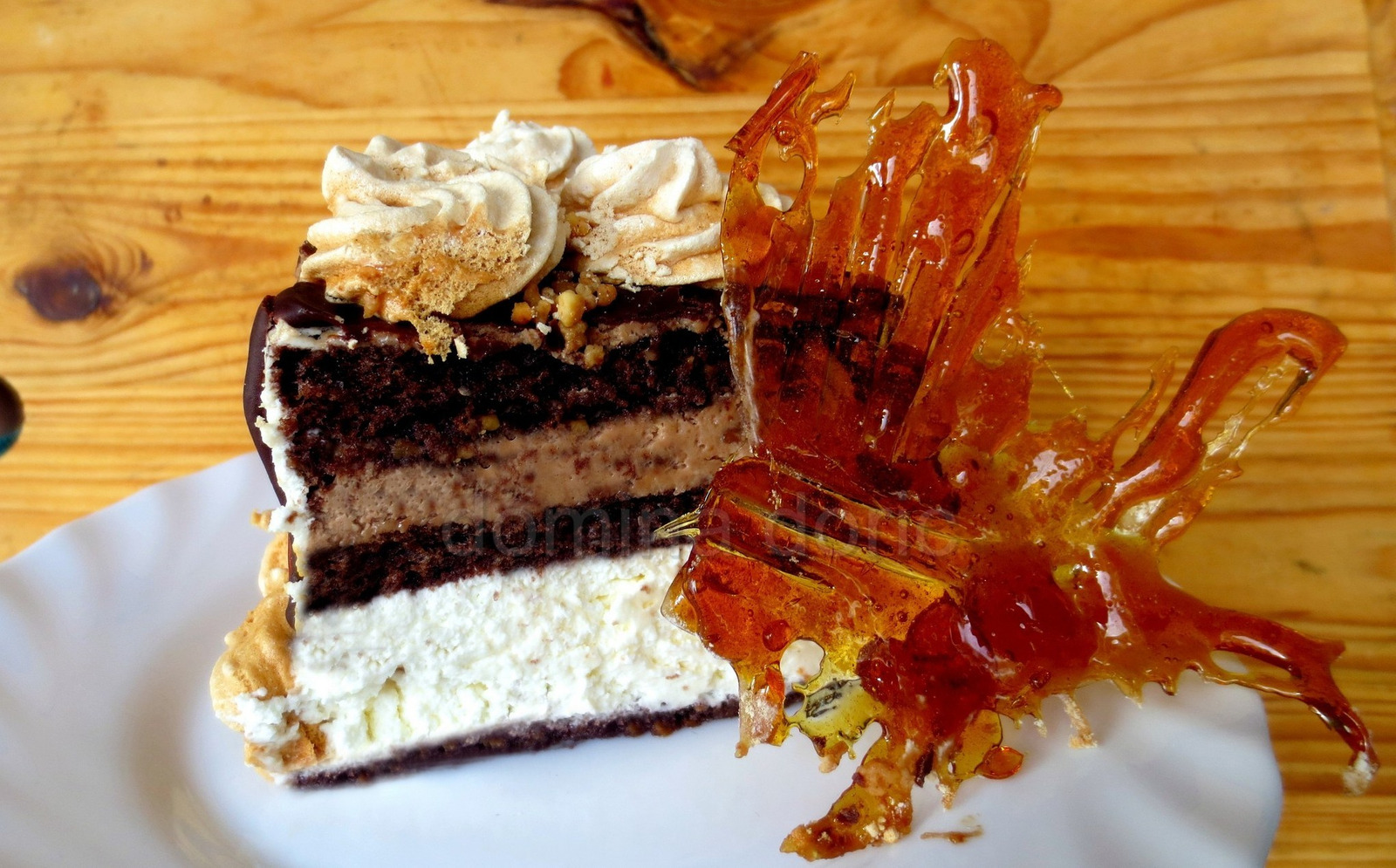Torta sa pus(l)icama