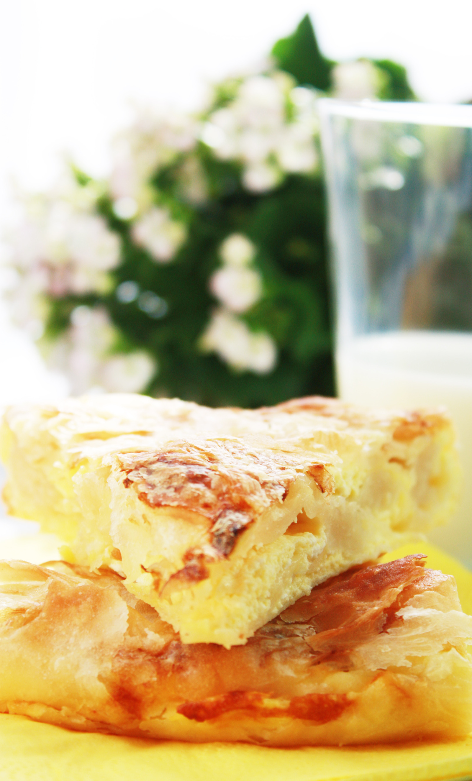 Burek u slici i riječi by mamamaja