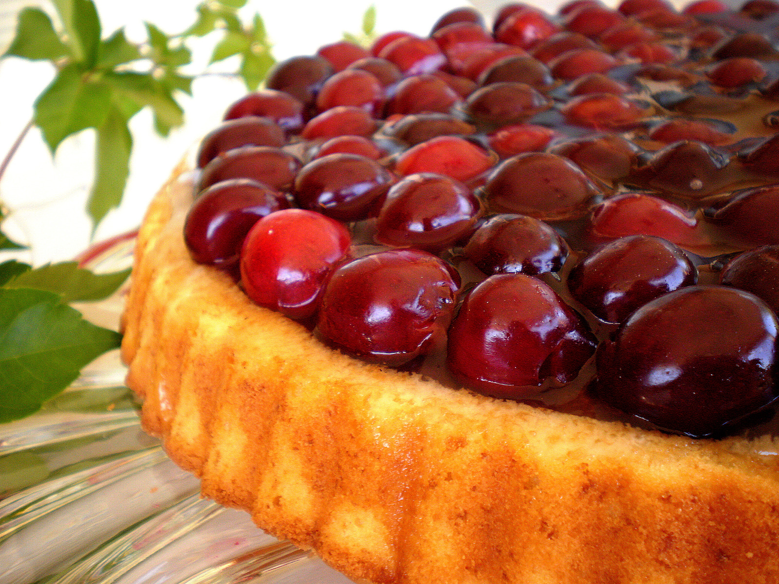 Torta sa trešnjama
