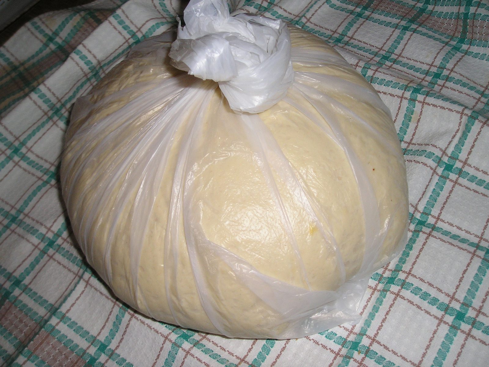 Ludo tijesto
