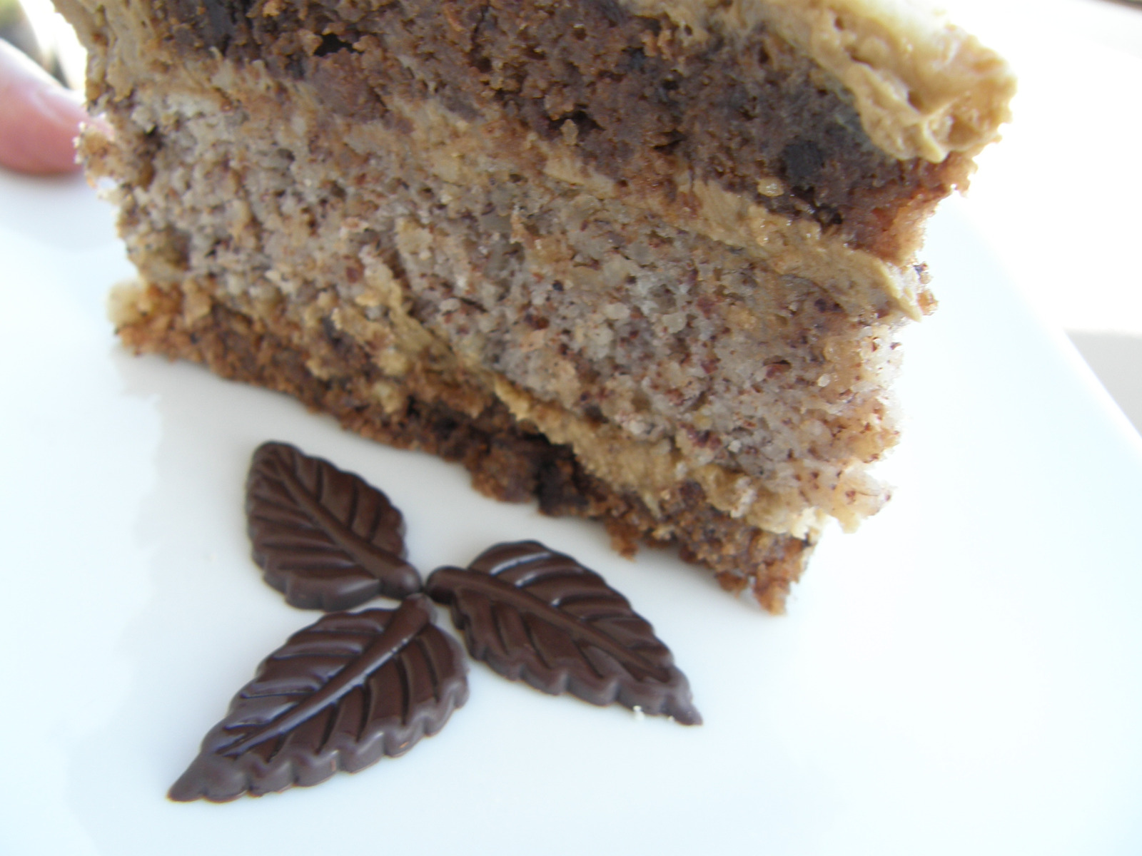 Schillerova torta