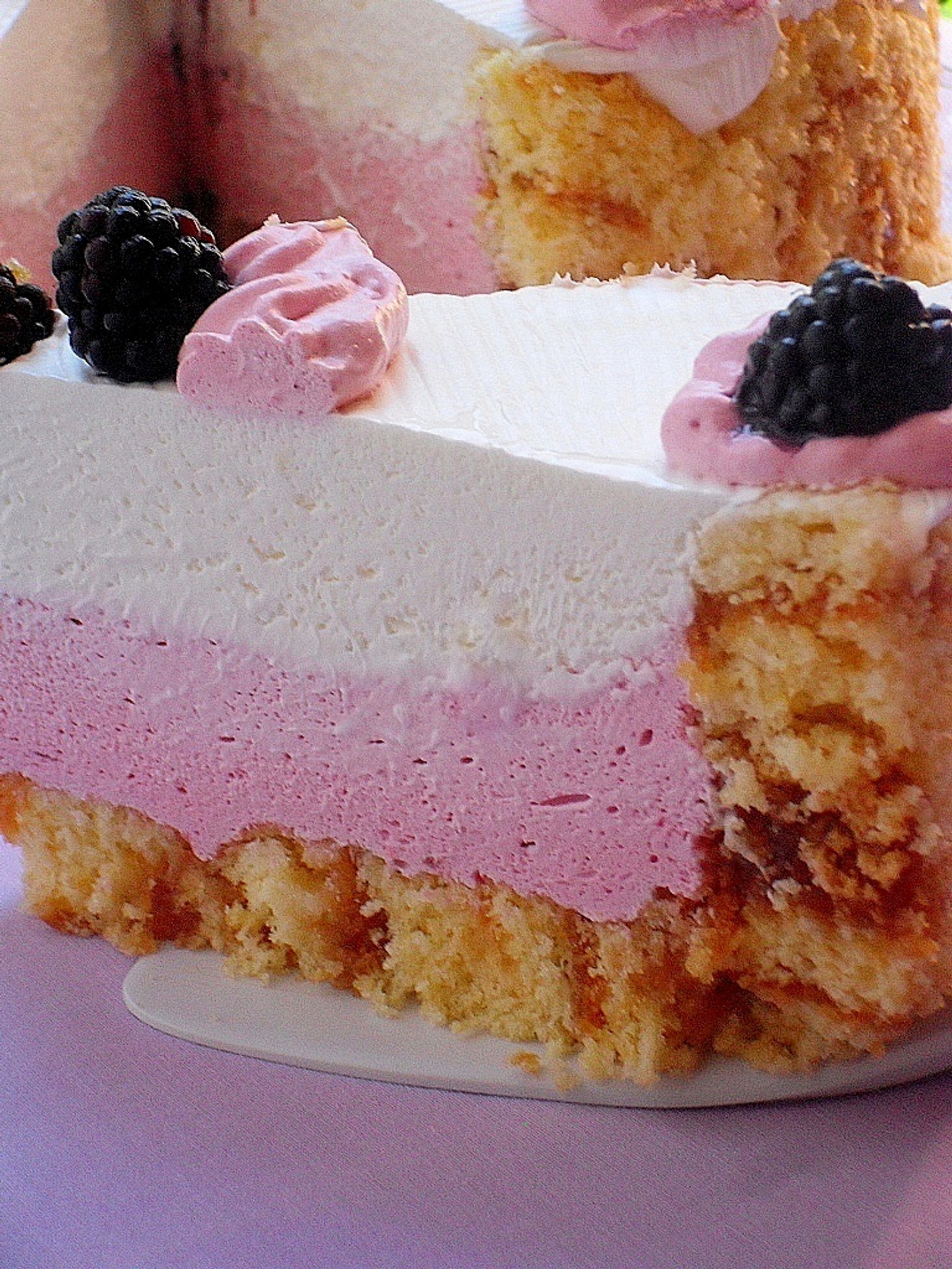 Presjek The torte-Jupieya...Je li tko za komad!!))