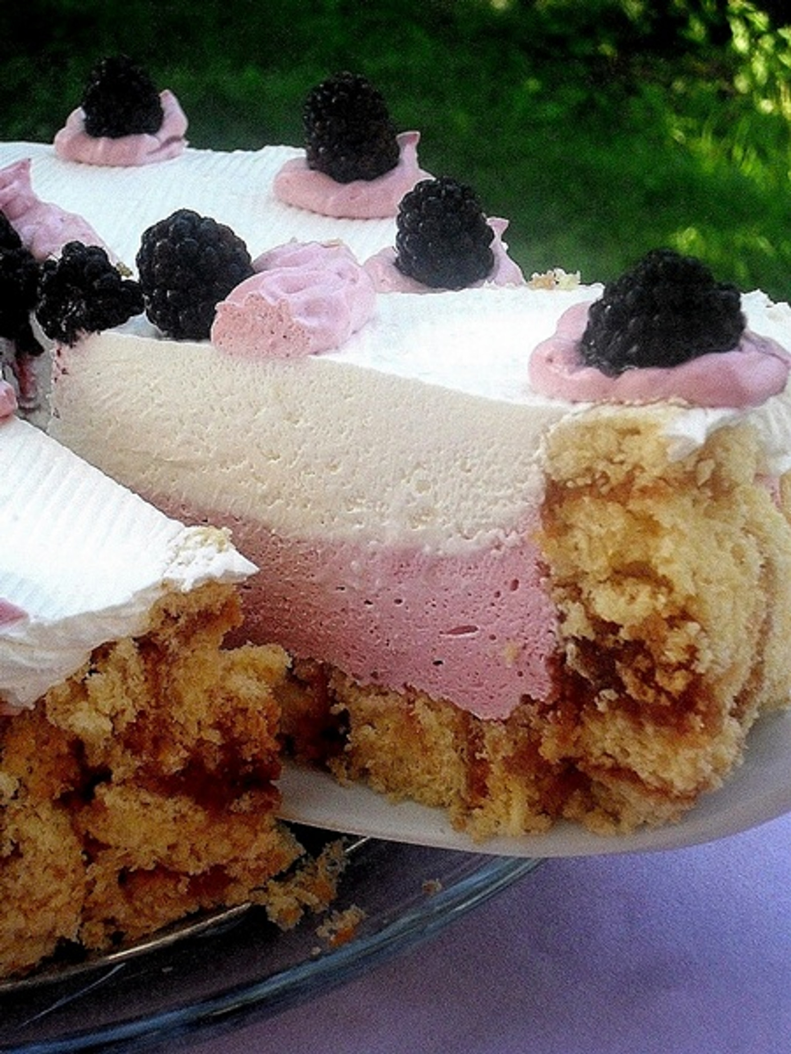 The Torta-yupieya