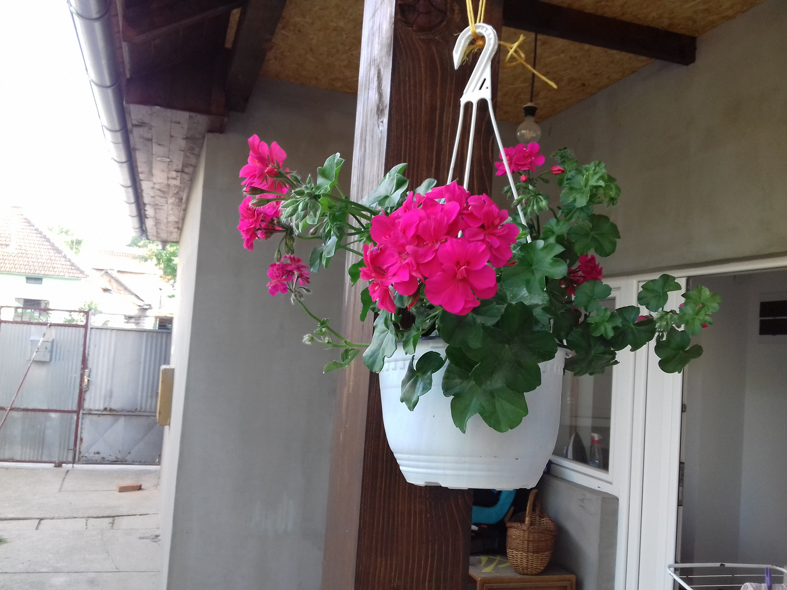 Moji ljubimci ;)