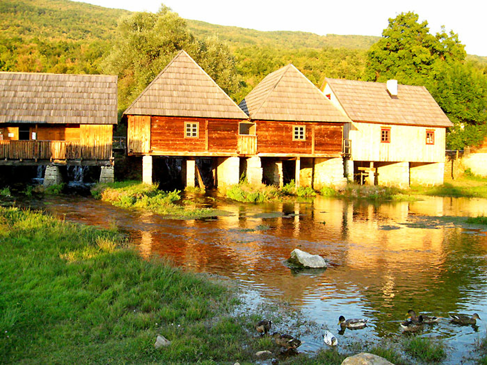 Majerovo vrilo
