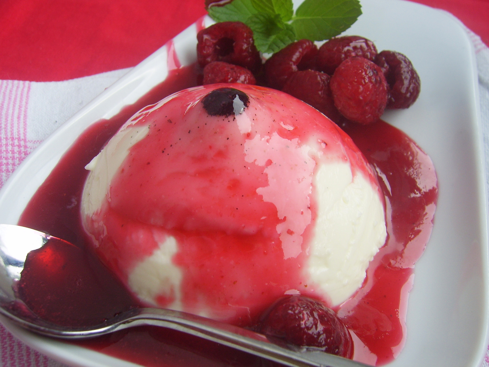 Panna cotta- domaća