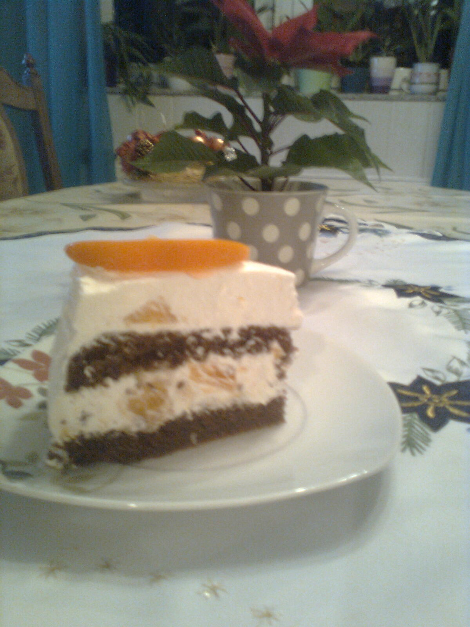 Snjezna torta s Kakijem