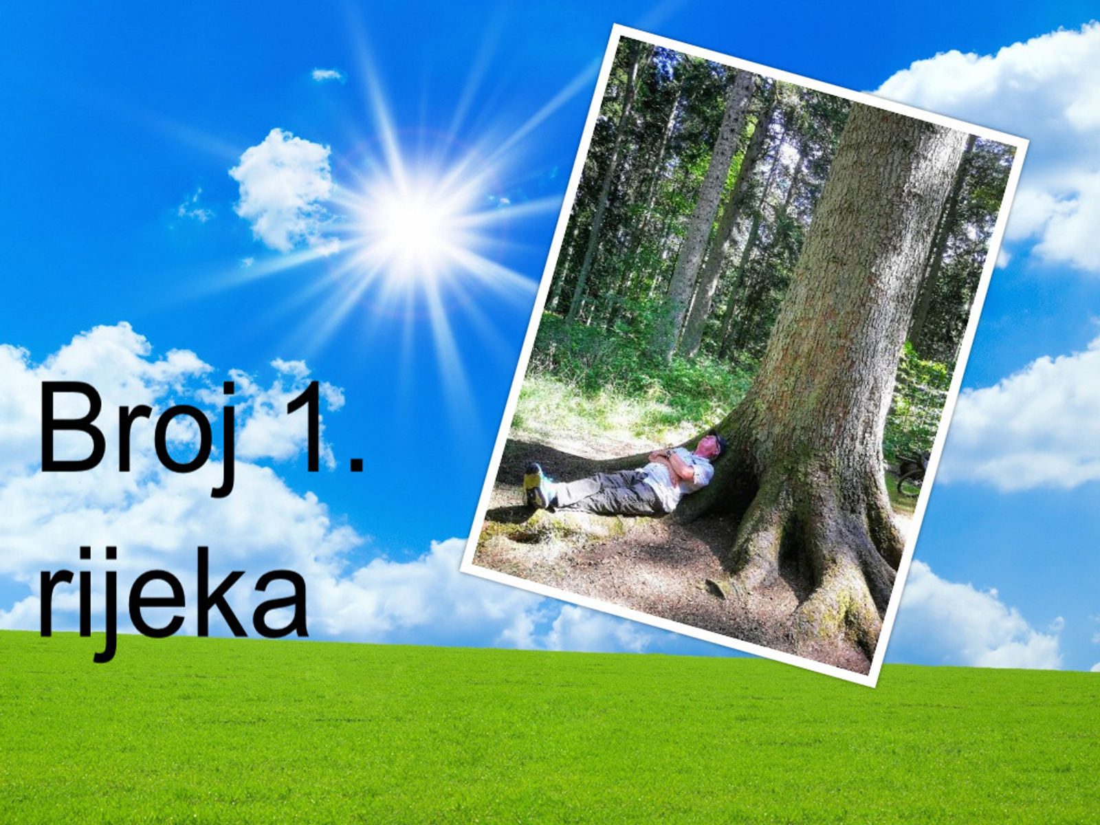 Pobjednička foto br 9