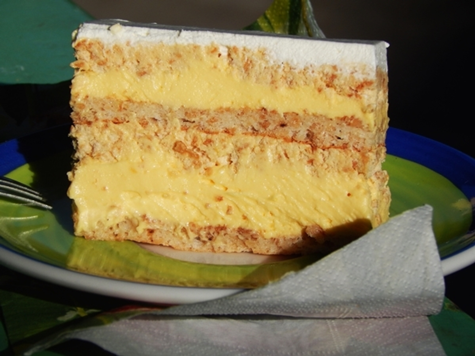 Mliječna plazma torta