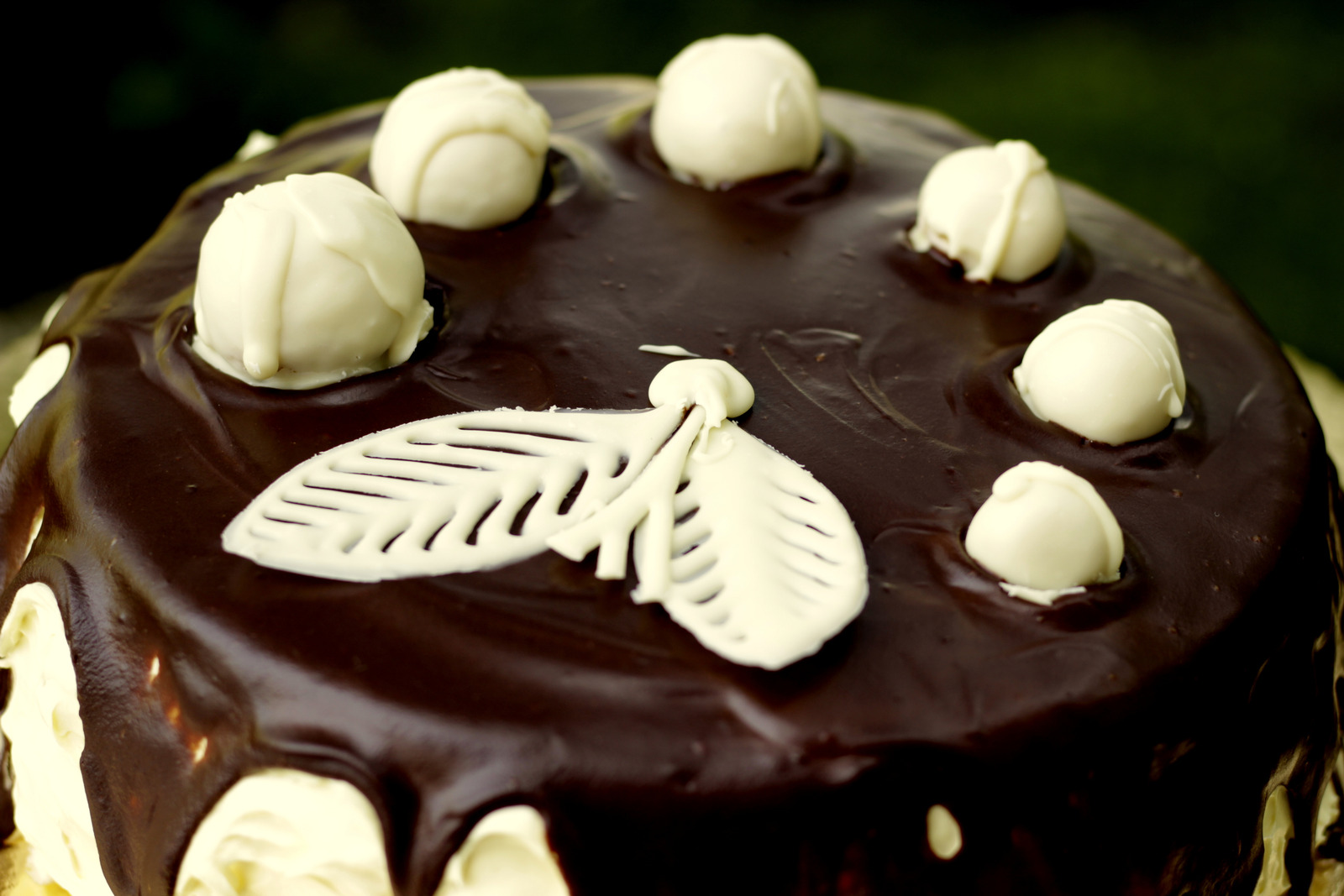 Bijeli biskvit-torta