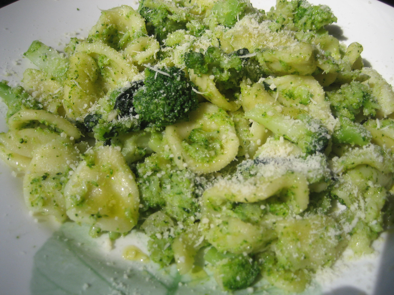 Orecchiette s brokulom