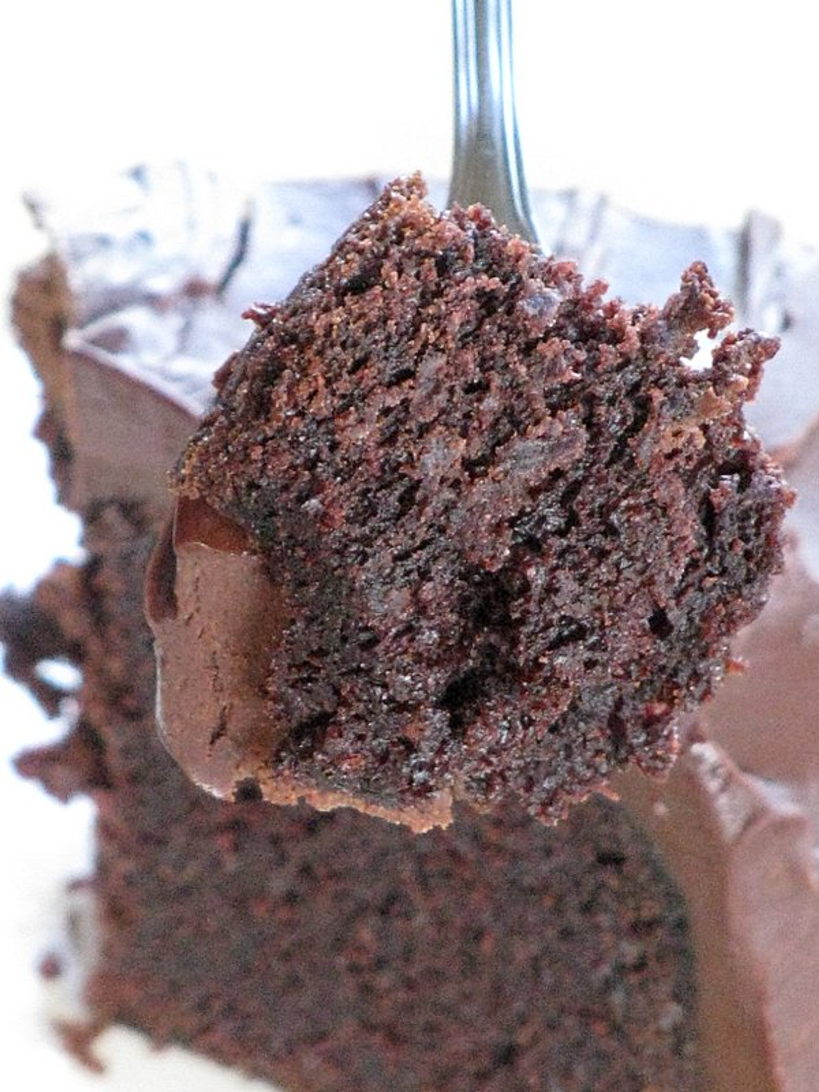Moj cokoladni  “mud cake”
