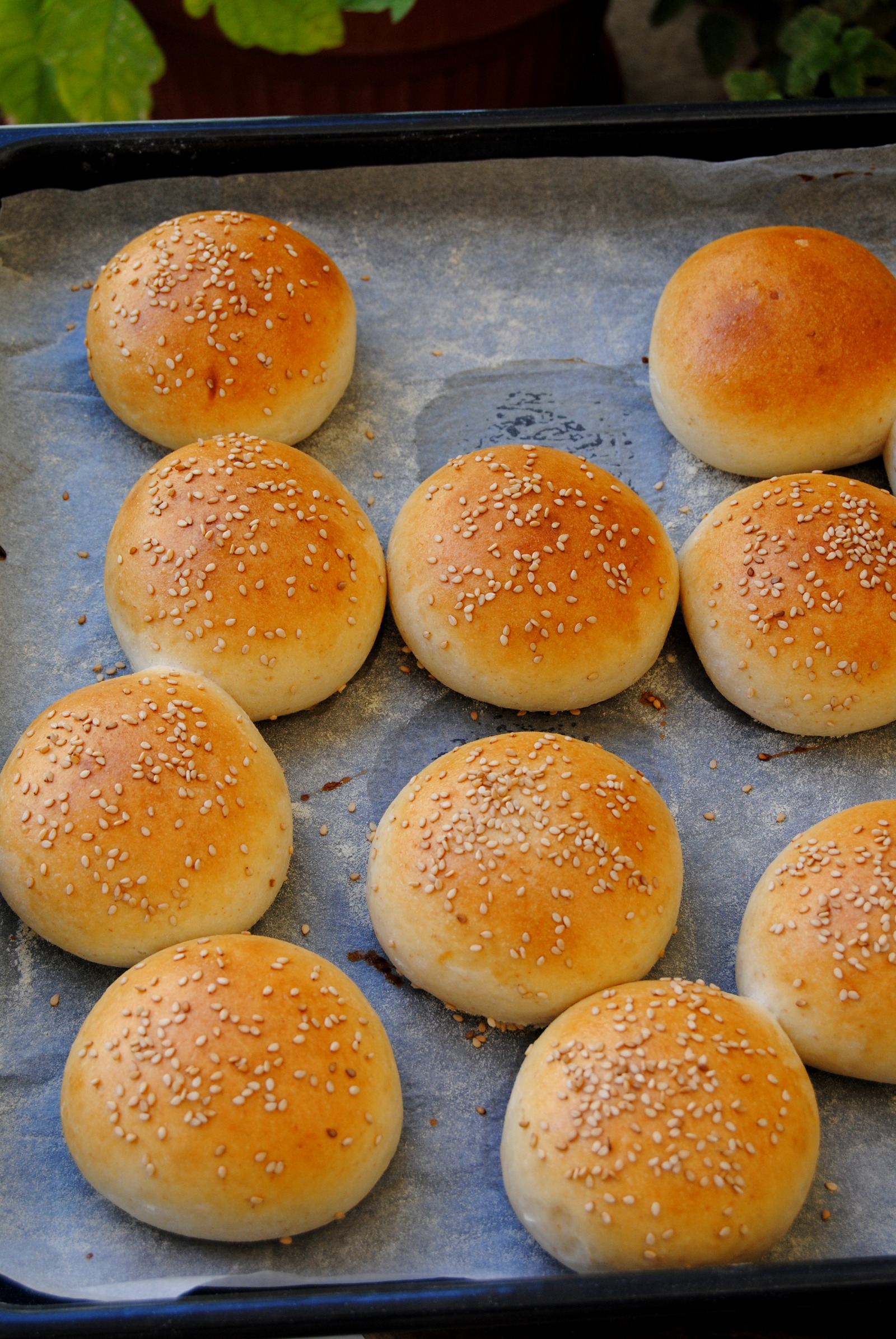 Hamburger peciva