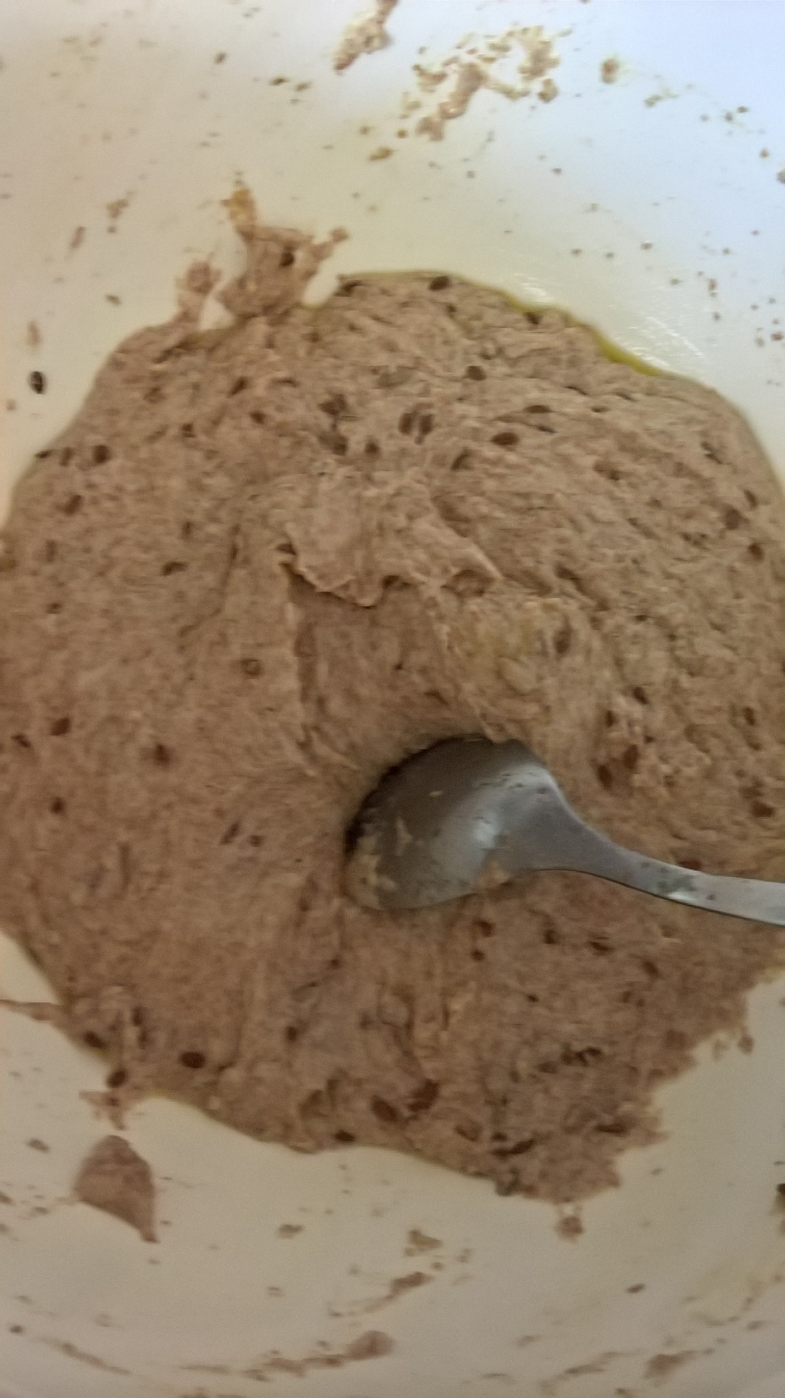 Beskvasni hljeb od spelte (krupnika, pira)
