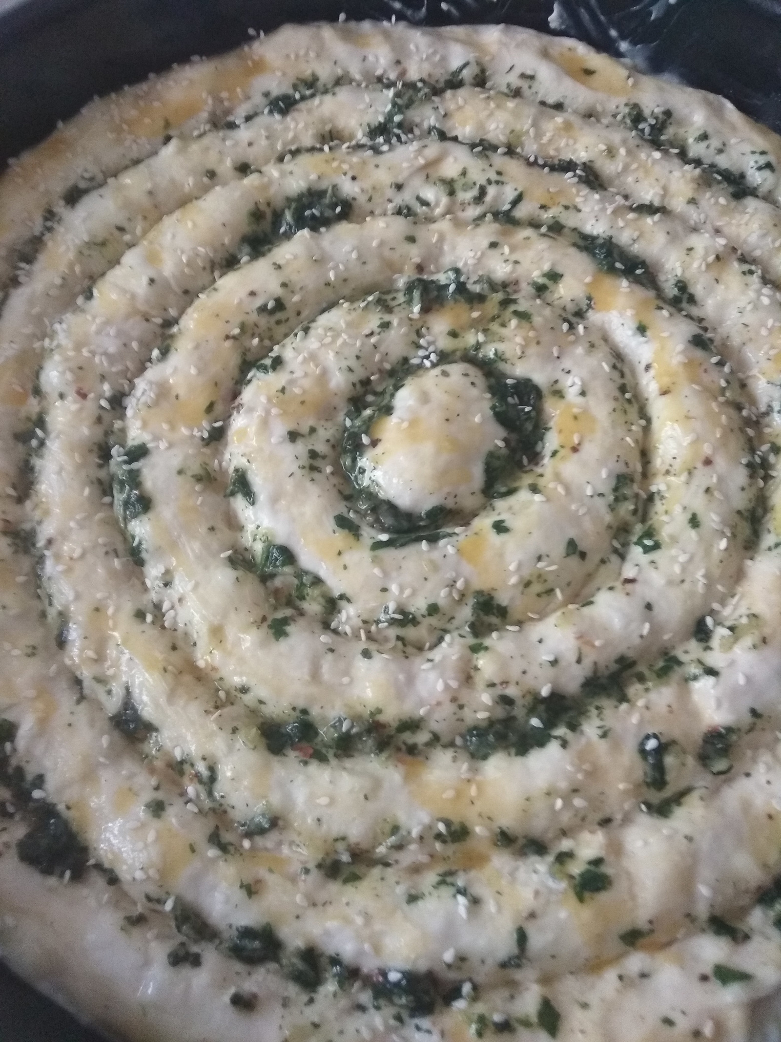 sa zacinima