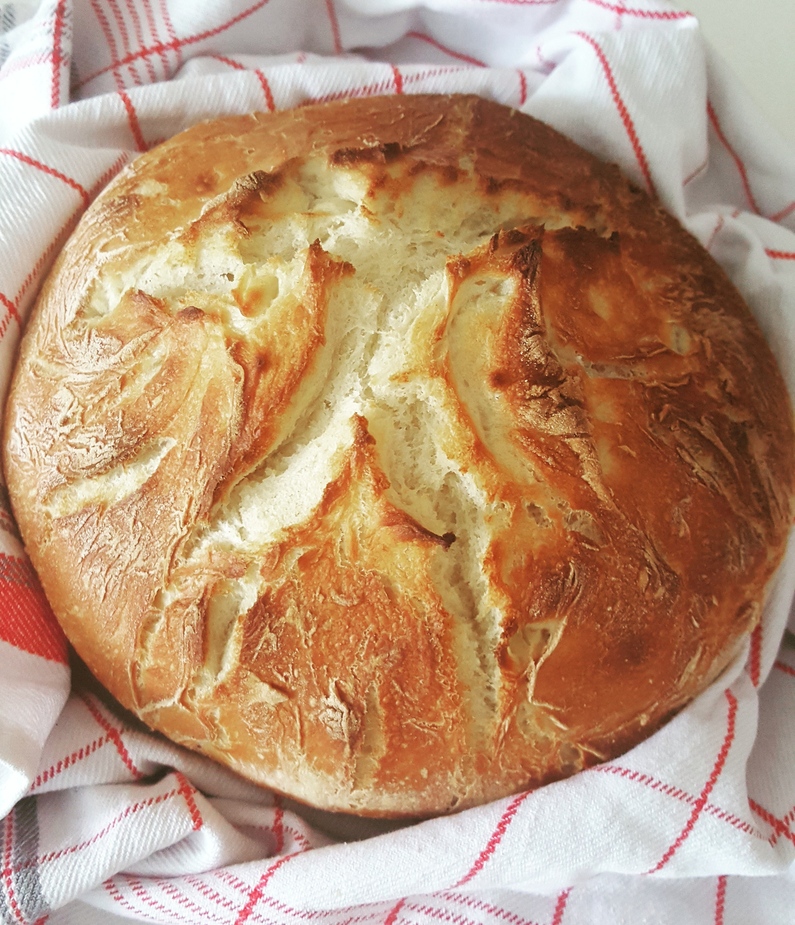 brzi domaći  kruh