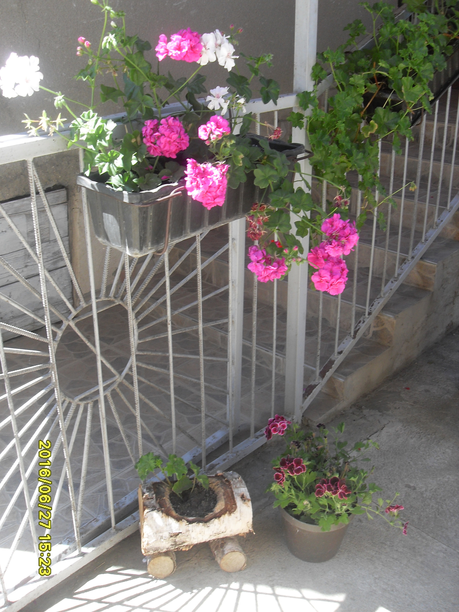 Image 719995 (auto)