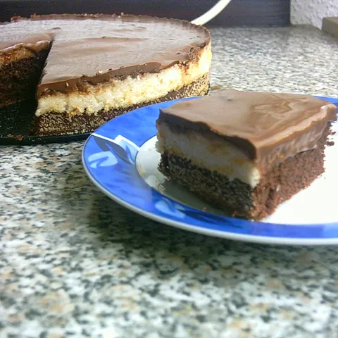 Bounty tortica