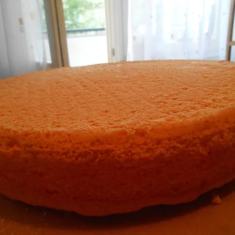 BISKVIT ZA TORTE