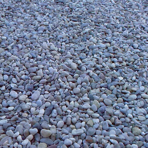 GIUGITA