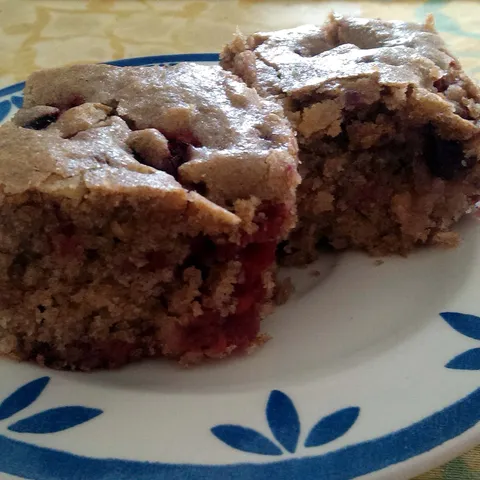 Kolač s joštama i malinama /vegan/