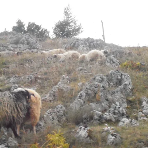 Jesen u Hercegovini