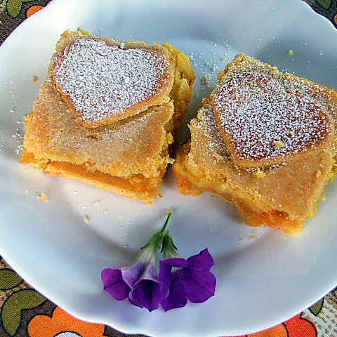 Ljetna pita od bresaka i marelica