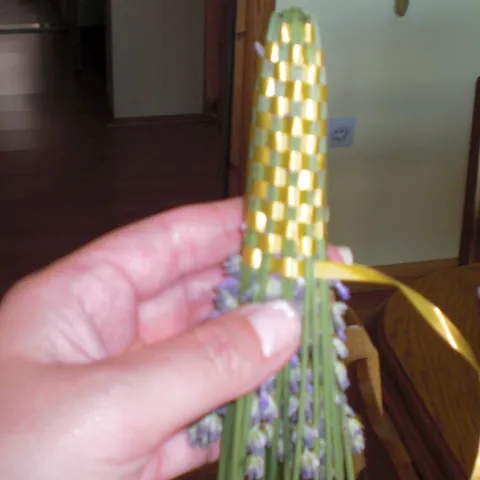 lavanda3