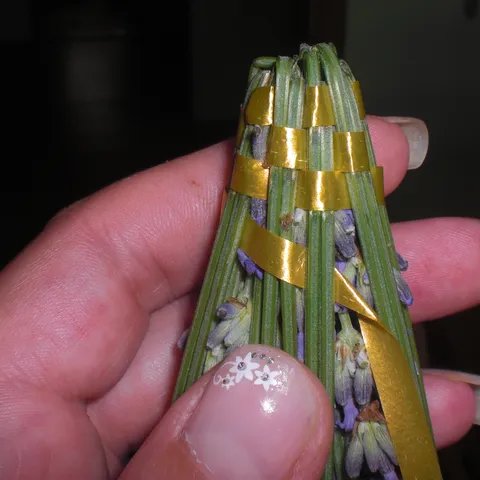 lavanda2