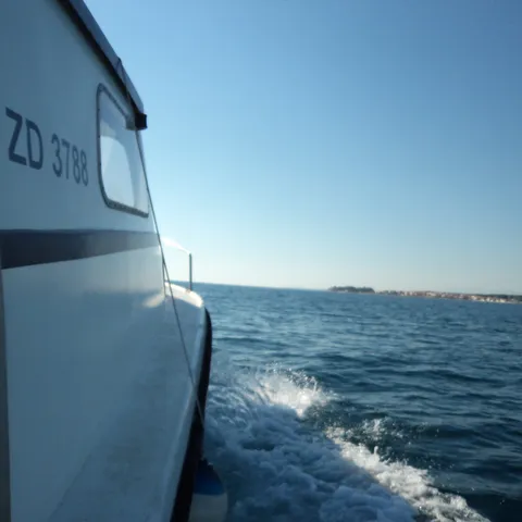 rhaea