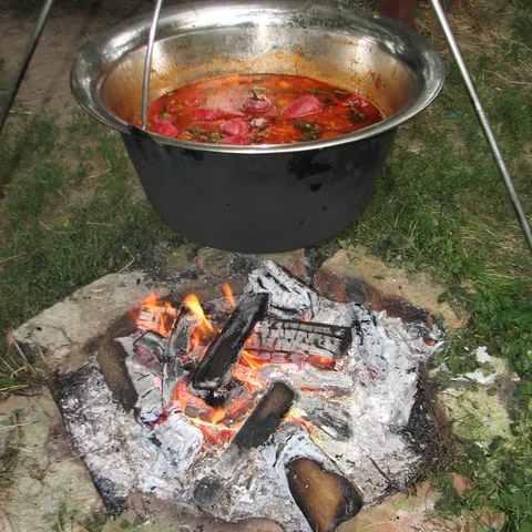Riblja čorba iz kotlića