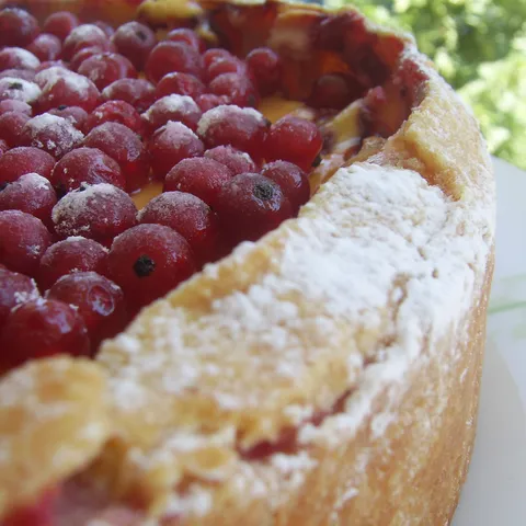 Sirnata torta s ribizlom