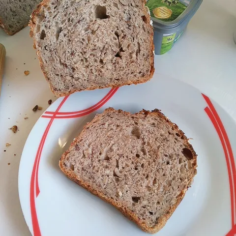 Kruh sa sjemenkama
