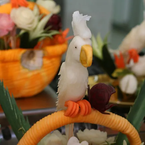 Daikon papiga