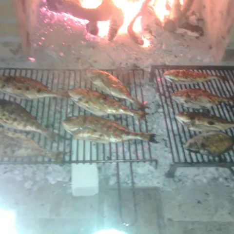 RIBA SA GRADELA