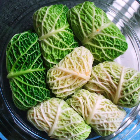Vegetarijanske sarmice od kelja