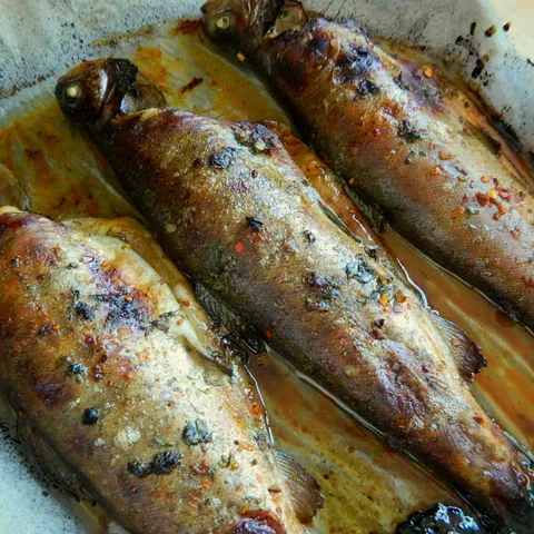 Pastrmka u marinadi sa medom, belim lukom...