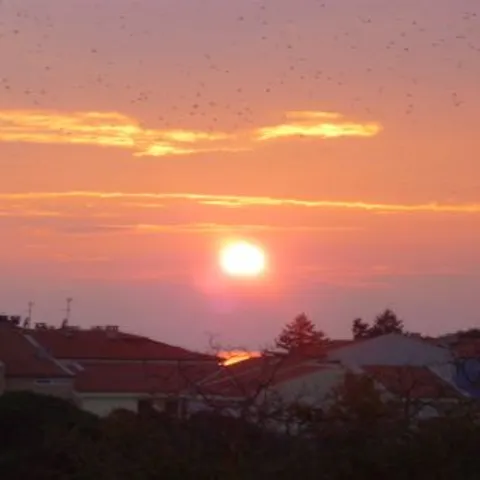 Poklonstvo Suncu
