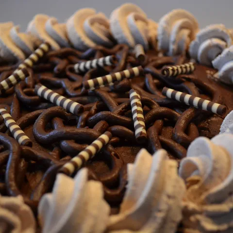Chocolate forest fruit cake