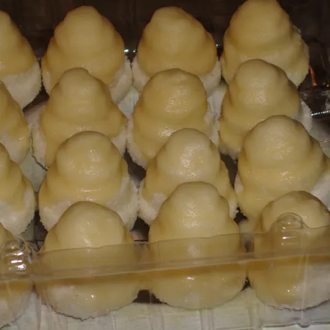 bele košnice